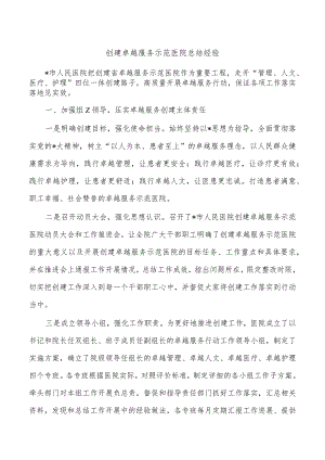 创建卓越服务示范医院总结经验.docx