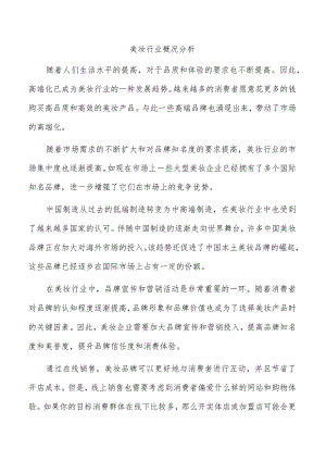美妆行业概况分析.docx