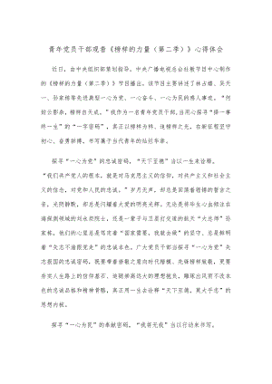 青年党员干部观看《榜样的力量（第二季）》心得体会.docx