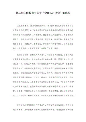 第二批主题教育中关于“全面从严治党”的感悟.docx