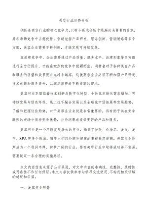 美容行业形势分析.docx