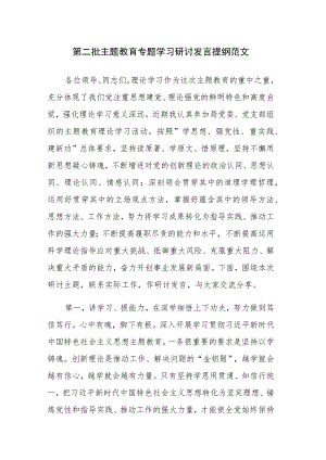 第二批主题教育专题学习研讨发言提纲范文.docx
