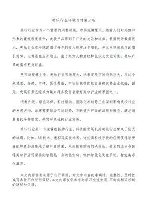 美妆行业环境与对策分析.docx