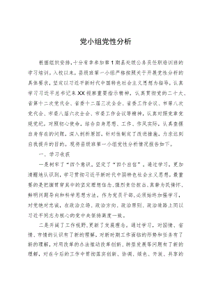 县处级公务员任职培训班党小组党性分析材料.docx