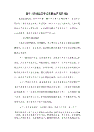 县审计局党组关于巡察整改情况的报告.docx