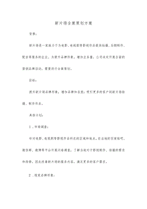 新片场全案策划方案.docx