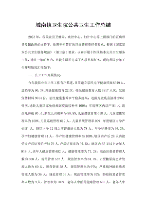 城南镇卫生院公共卫生工作总结.docx