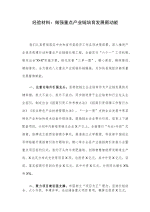 经验材料：做强重点产业链培育发展新动能.docx