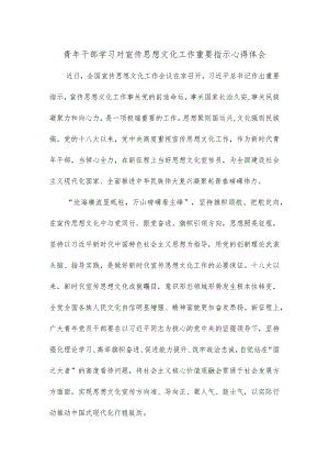 青年干部学习对宣传思想文化工作重要指示心得体会.docx