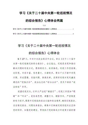 学习《关于二十届中央第一轮巡视情况的综合报告》心得体会两篇.docx