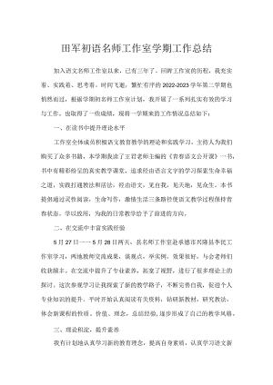 田军初语名师工作室学期工作总结.docx