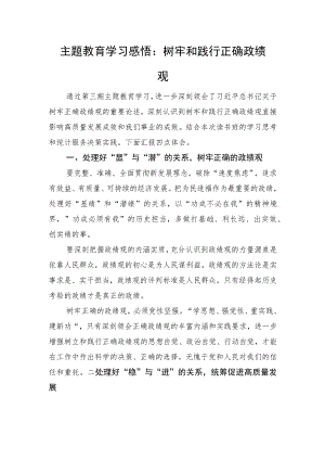 主题教育学习感悟：树牢和践行正确政绩观.docx