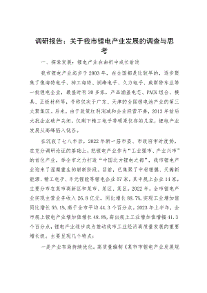 调研报告：关于我市锂电产业发展的调查与思考.docx