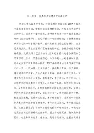 研讨发言：青春在法治建设中闪耀光芒.docx