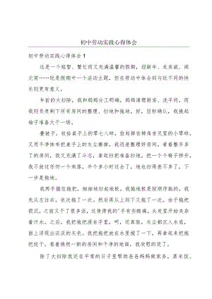 初中劳动实践心得体会.docx