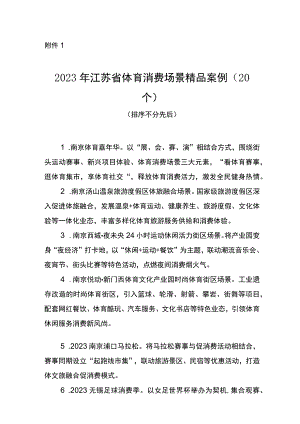 2023年江苏省体育消费场景精品案例（20个）.docx