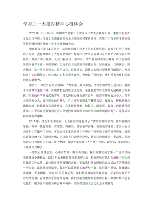 学习二十大报告精神心得体会.docx