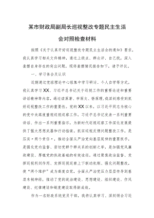 某市财政局副局长巡视整改专题民主生活会对照检查材料.docx