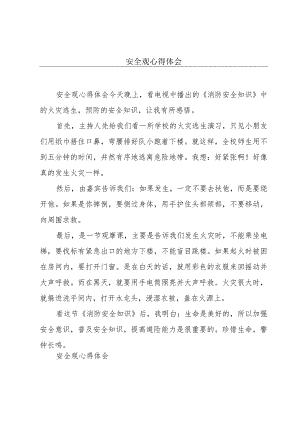 安全观心得体会.docx