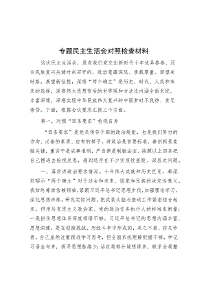 专题民主生活会对照检查材料.docx