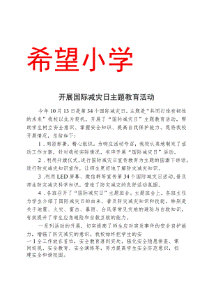 开展国际减灾日主题教育活动总结.docx