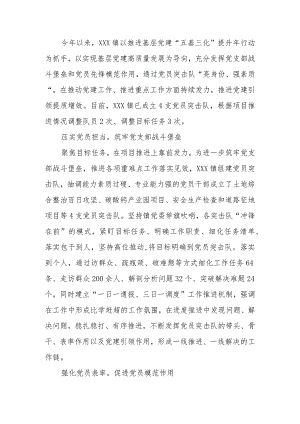 镇党员突击队工作情况汇报.docx