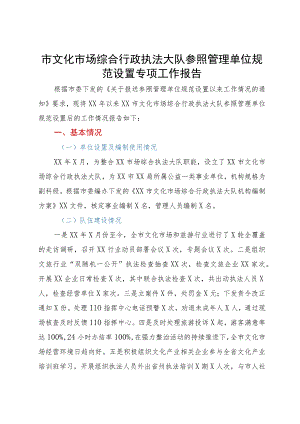 市文化市场综合行政执法大队参照管理单位规范设置专项工作报告.docx