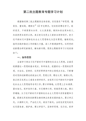 第二批主题教育专题学习计划.docx