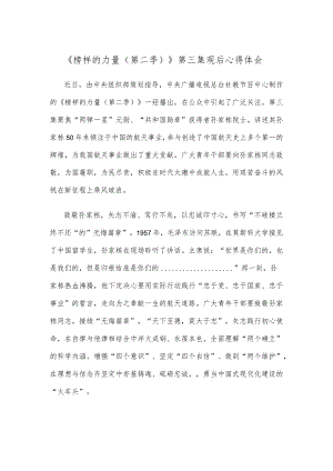 《榜样的力量（第二季）》第三集观后心得体会.docx