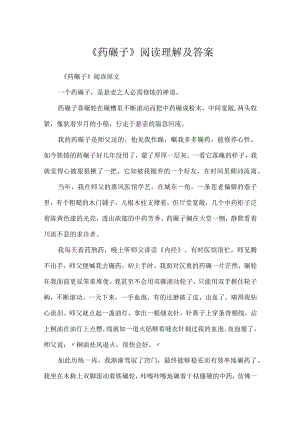 《药碾子》阅读理解及答案.docx