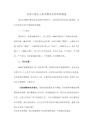 在党小组会上的对照发言材料供借鉴.docx