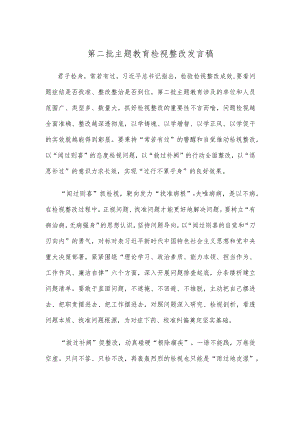 第二批主题教育检视整改发言稿.docx