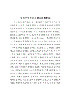 专题民主生活会对照检查材料.docx