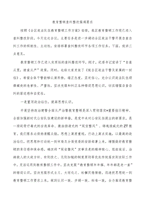教育整顿查纠整改强调要求.docx