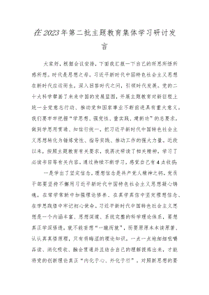 在2023年第二批主题教育集体学习研讨发言.docx