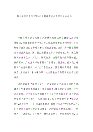 第二批学习贯彻2023年主题教育读书班学习发言材料.docx