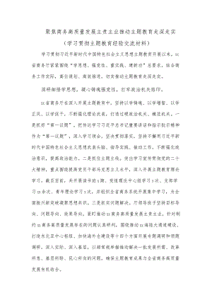 聚焦商务高质量发展主责主业推动主题教育走深走实（学习贯彻主题教育经验交流材料）.docx