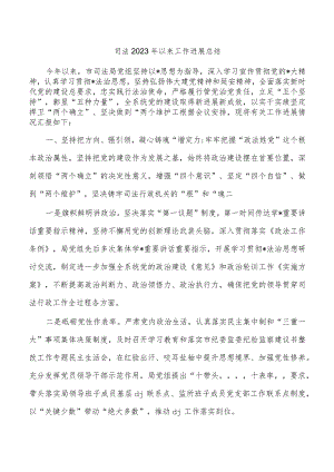 司法2023年以来工作进展总结.docx