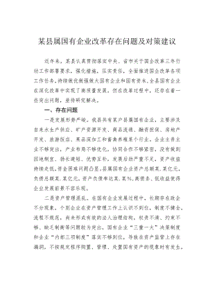 某县属国有企业改革存在问题及对策建议.docx