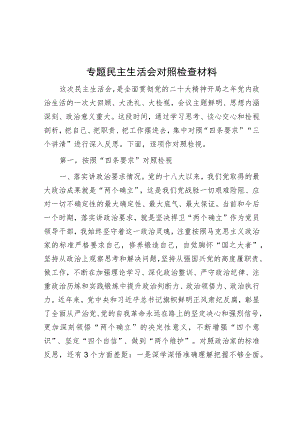 专题民主生活会对照检查材料.docx