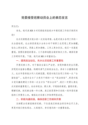 乡党委接受巡察动员会上的表态发言.docx