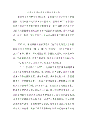 中医院大型中医医院巡查自查总结.docx