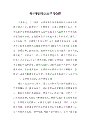 青年干部培训班学习心得2篇.docx