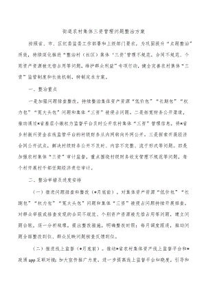 街道农村集体三资管理问题整治方案.docx