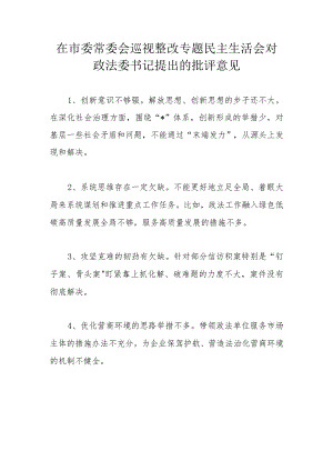 在市委常委会巡视整改专题民主生活会对政法委书记提出的批评意见.docx