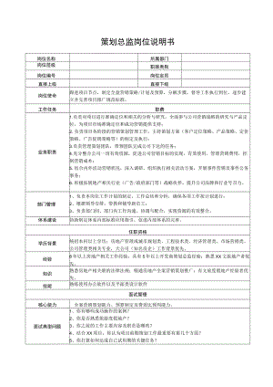 策划总监岗位说明书.docx