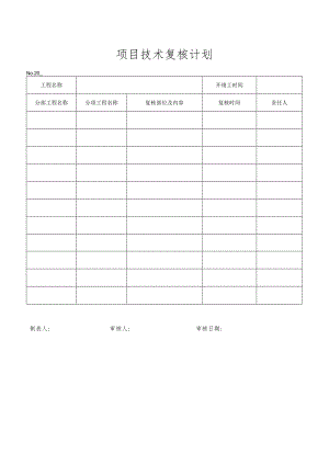 项目技术复核计划.docx
