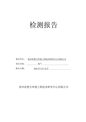 氨气典型报告.docx