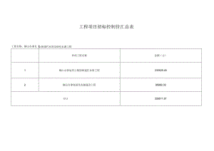 综合预算表.docx