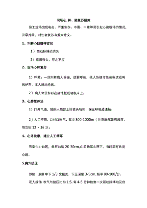 现场心、肺、脑复苏措施.docx